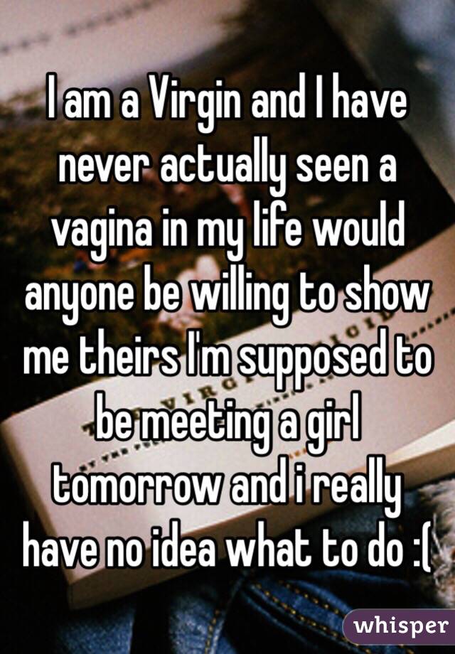 I am a Virgin and I have never actually seen a vagina in my life would anyone be willing to show me theirs I'm supposed to be meeting a girl tomorrow and i really have no idea what to do :( 