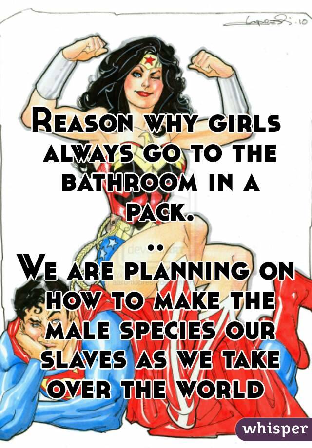 Reason why girls always go to the bathroom in a pack...
We are planning on how to make the male species our slaves as we take over the world 