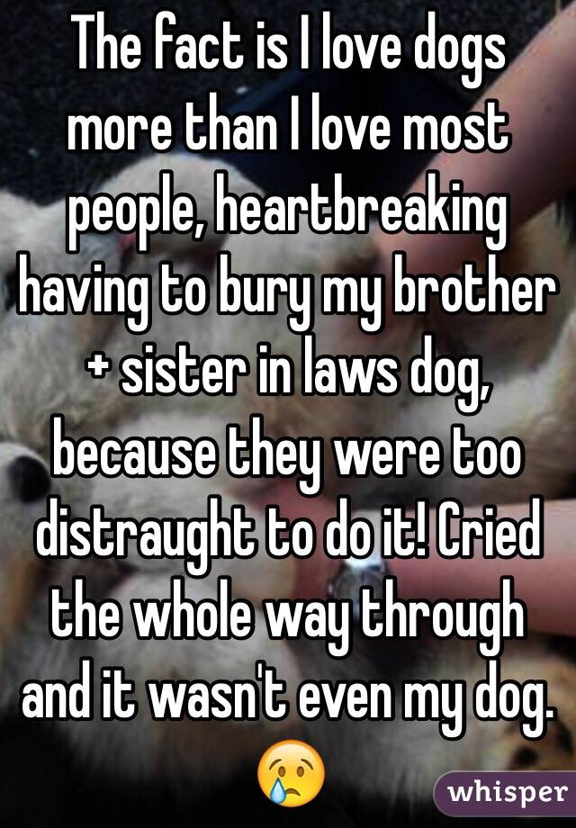 The fact is I love dogs more than I love most people, heartbreaking having to bury my brother + sister in laws dog, because they were too distraught to do it! Cried the whole way through and it wasn't even my dog. 😢