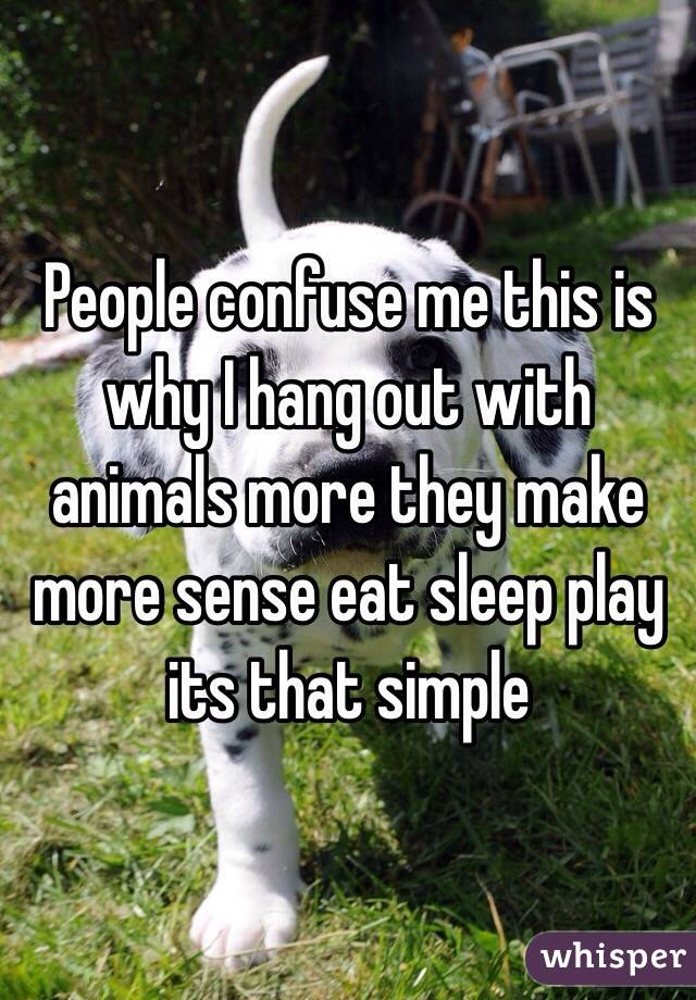 People confuse me this is why I hang out with animals more they make more sense eat sleep play its that simple 