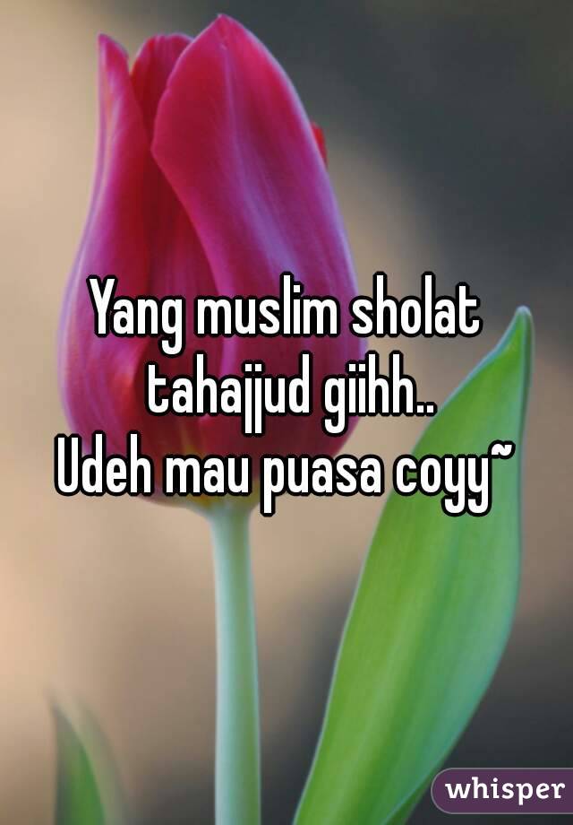 Yang muslim sholat tahajjud giihh..
Udeh mau puasa coyy~