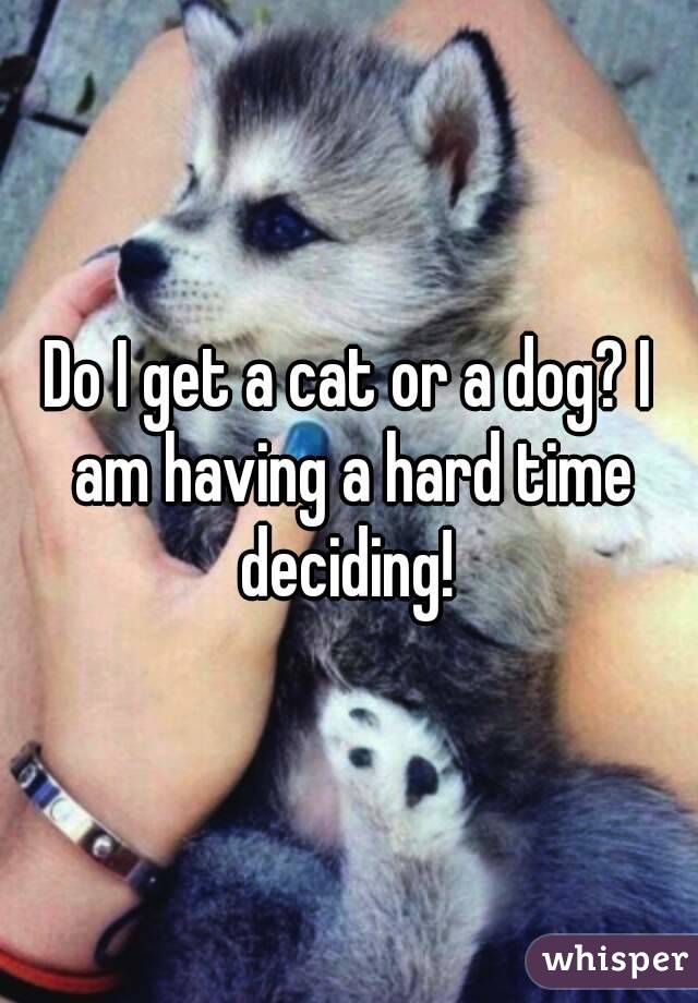 Do I get a cat or a dog? I am having a hard time deciding! 