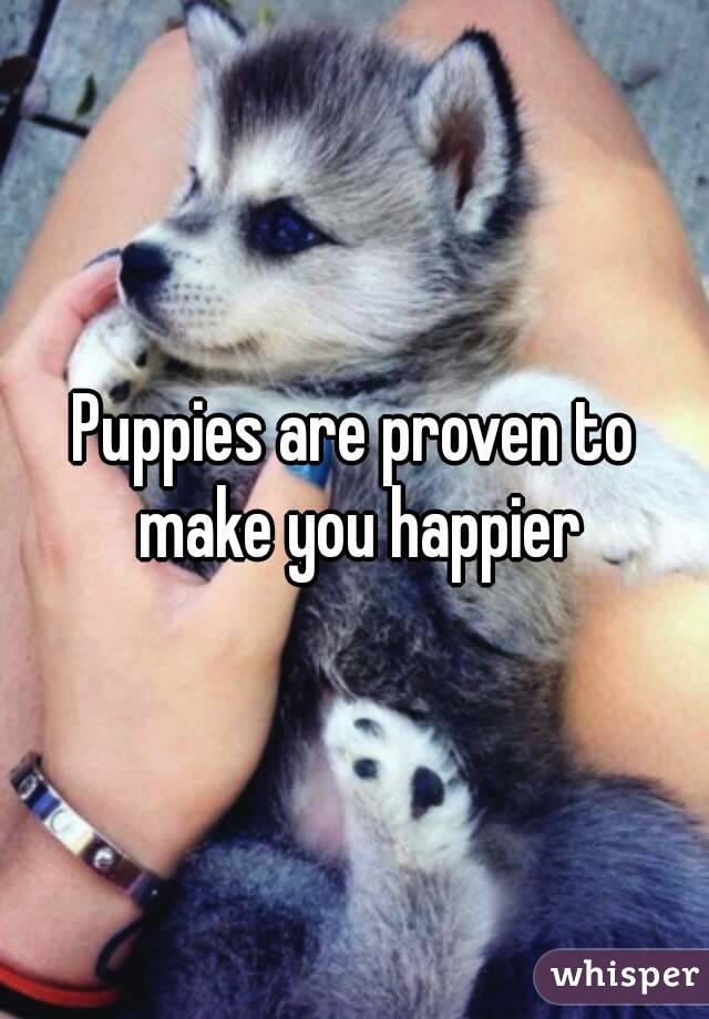 Puppies are proven to make you happier