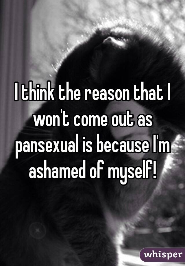 I think the reason that I won't come out as pansexual is because I'm ashamed of myself!