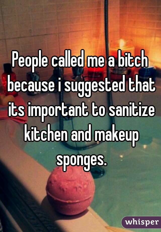 People called me a bitch because i suggested that its important to sanitize kitchen and makeup sponges.