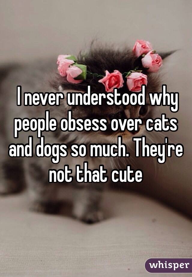  I never understood why people obsess over cats and dogs so much. They're not that cute