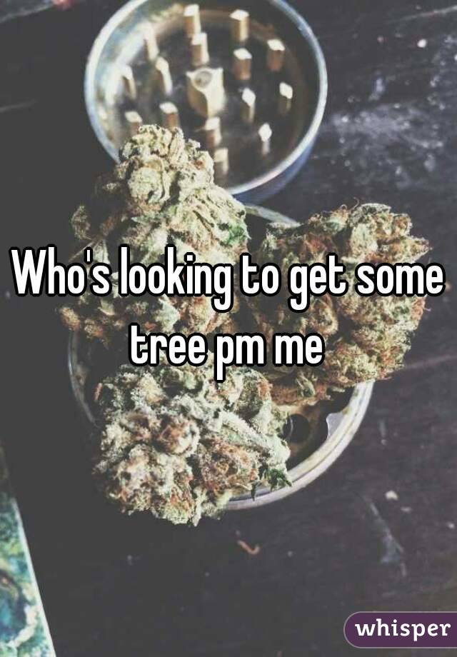 Who's looking to get some tree pm me 