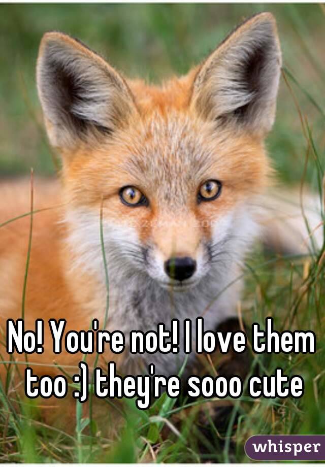 No! You're not! I love them too :) they're sooo cute