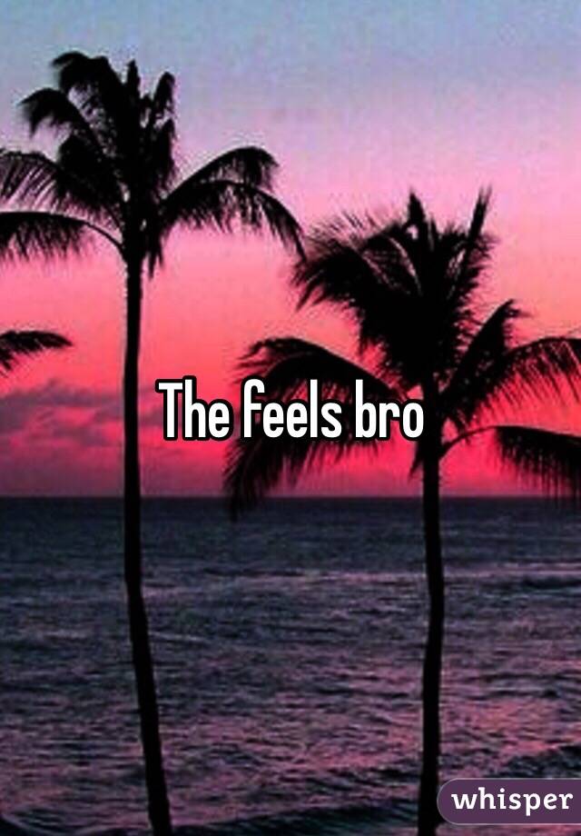 The feels bro 