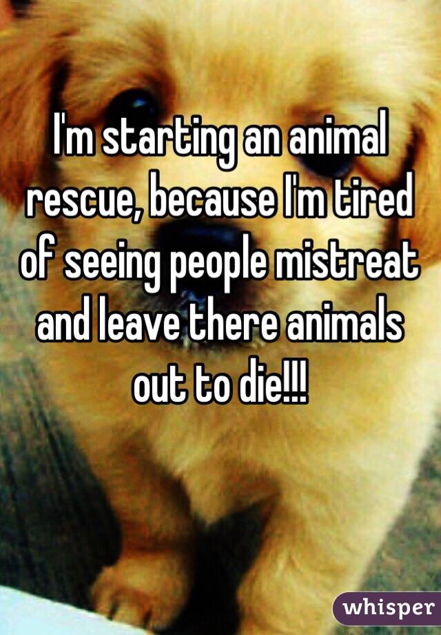 I'm starting an animal rescue, because I'm tired of seeing people mistreat and leave there animals out to die!!!