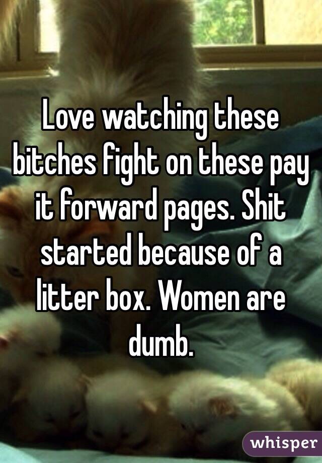 Love watching these bitches fight on these pay it forward pages. Shit started because of a litter box. Women are dumb. 