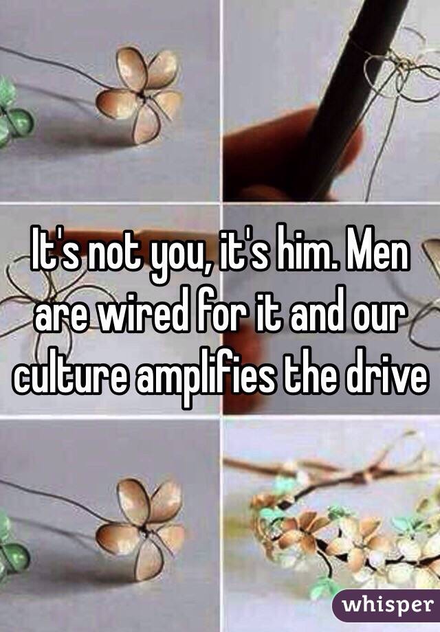 It's not you, it's him. Men are wired for it and our culture amplifies the drive