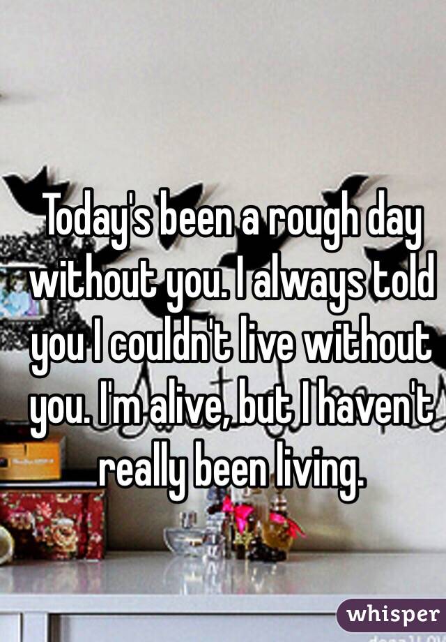 Today's been a rough day without you. I always told you I couldn't live without you. I'm alive, but I haven't really been living.