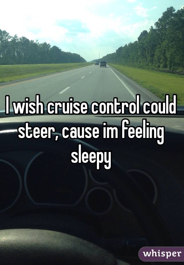 I wish cruise control could steer, cause im feeling sleepy