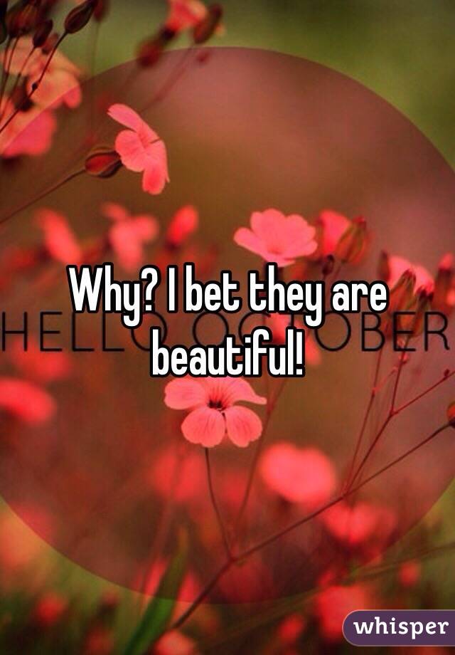 Why? I bet they are beautiful!