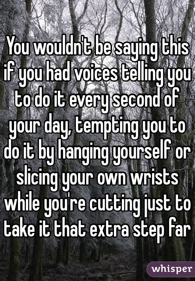 You wouldn't be saying this if you had voices telling you to do it every second of your day, tempting you to do it by hanging yourself or slicing your own wrists while you're cutting just to take it that extra step far