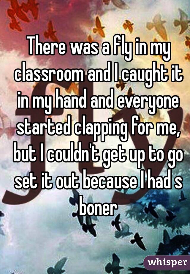 There was a fly in my classroom and I caught it in my hand and everyone started clapping for me, but I couldn't get up to go set it out because I had s boner