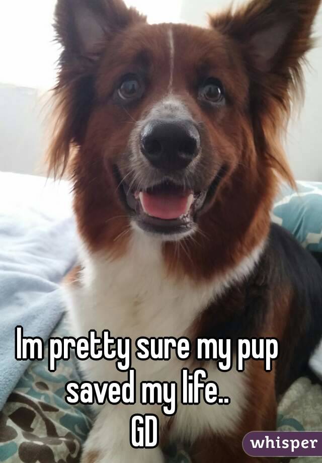 Im pretty sure my pup saved my life.. 
GD 