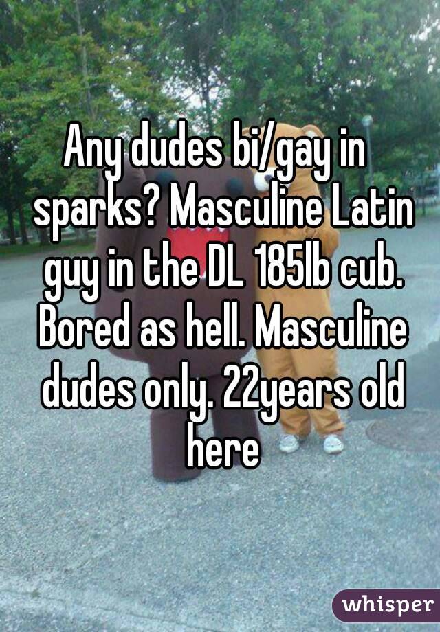 Any dudes bi/gay in  sparks? Masculine Latin guy in the DL 185lb cub. Bored as hell. Masculine dudes only. 22years old here