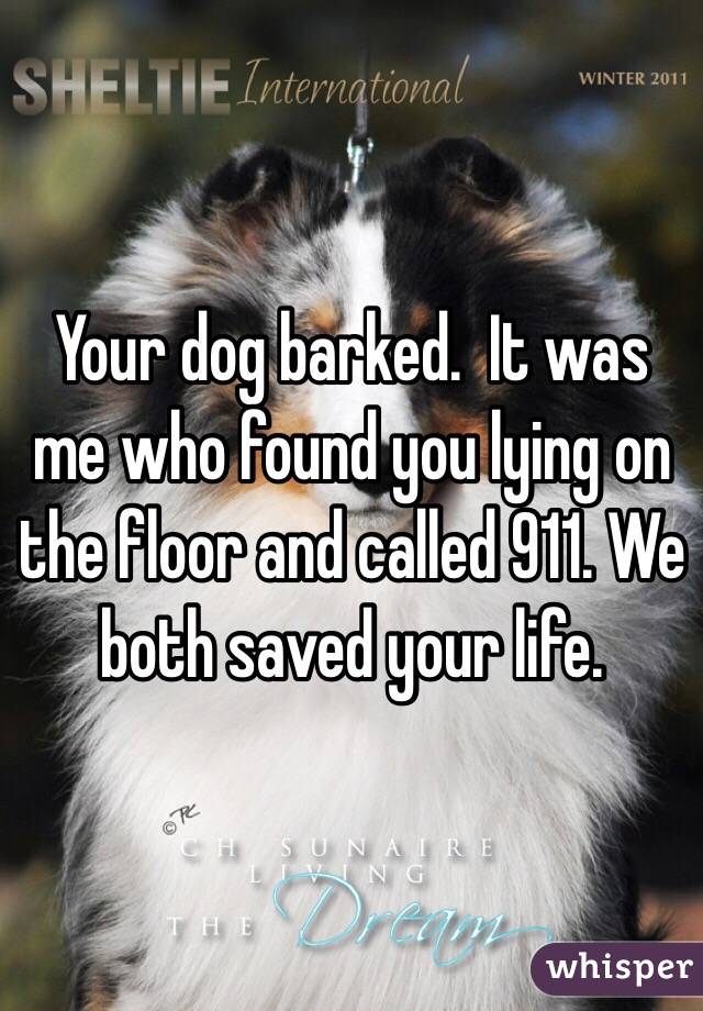 Your dog barked.  It was me who found you lying on the floor and called 911. We both saved your life. 