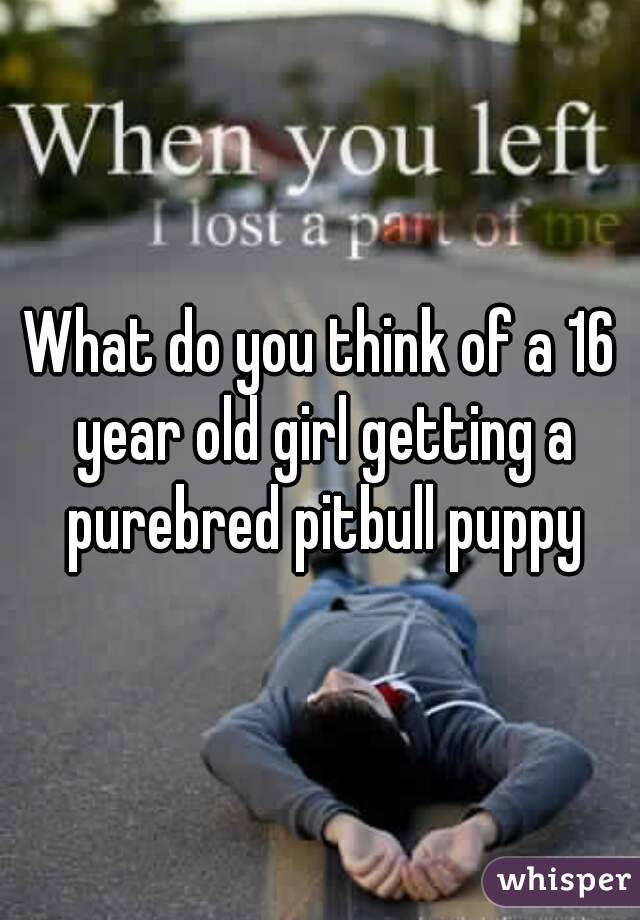 What do you think of a 16 year old girl getting a purebred pitbull puppy