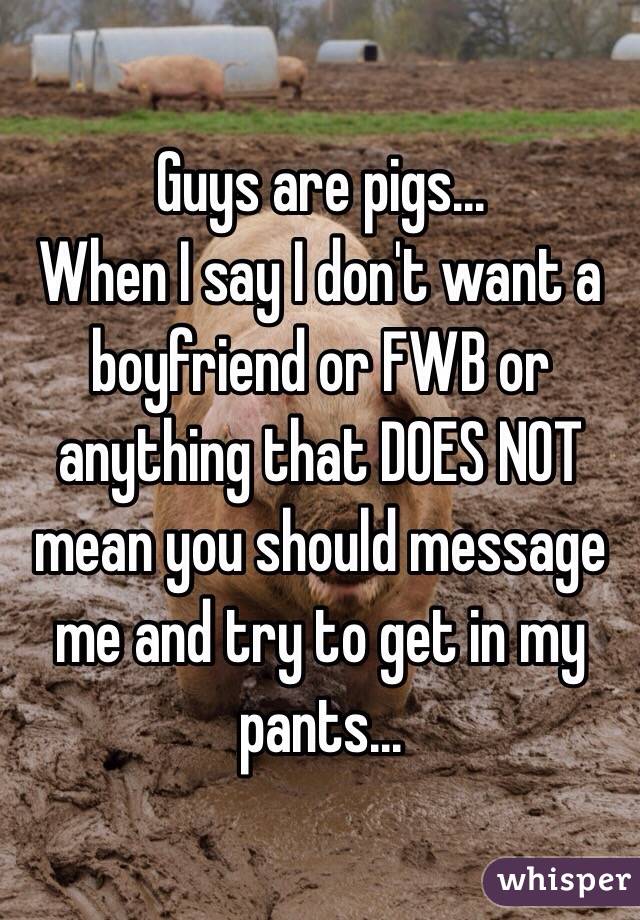 Guys are pigs... 
When I say I don't want a boyfriend or FWB or anything that DOES NOT mean you should message me and try to get in my pants...