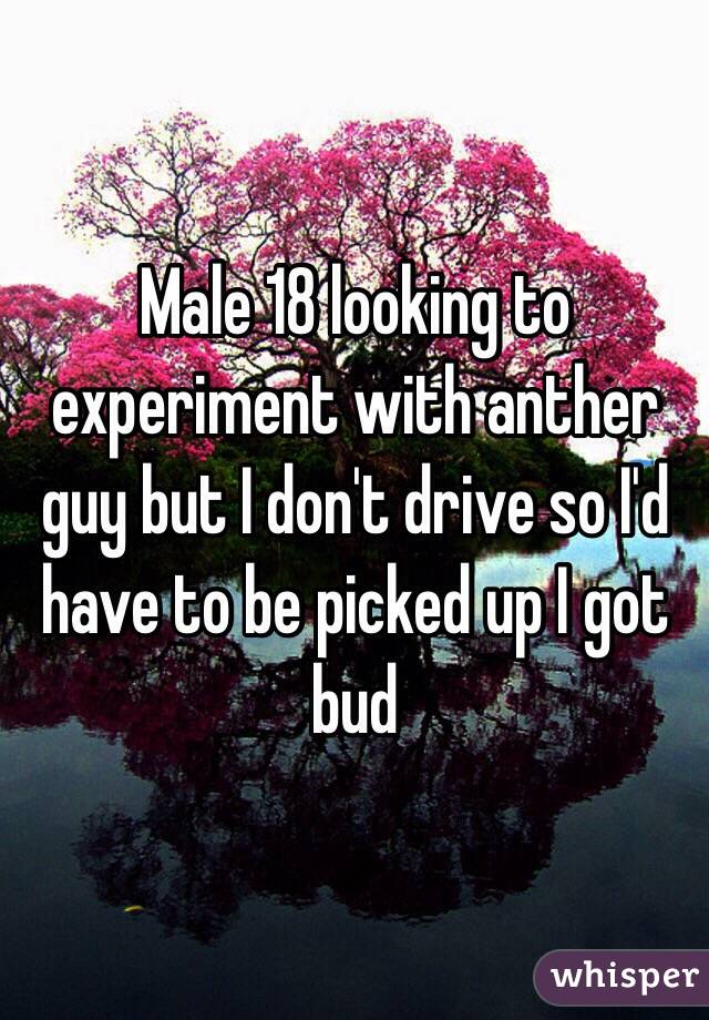 Male 18 looking to experiment with anther guy but I don't drive so I'd have to be picked up I got bud 