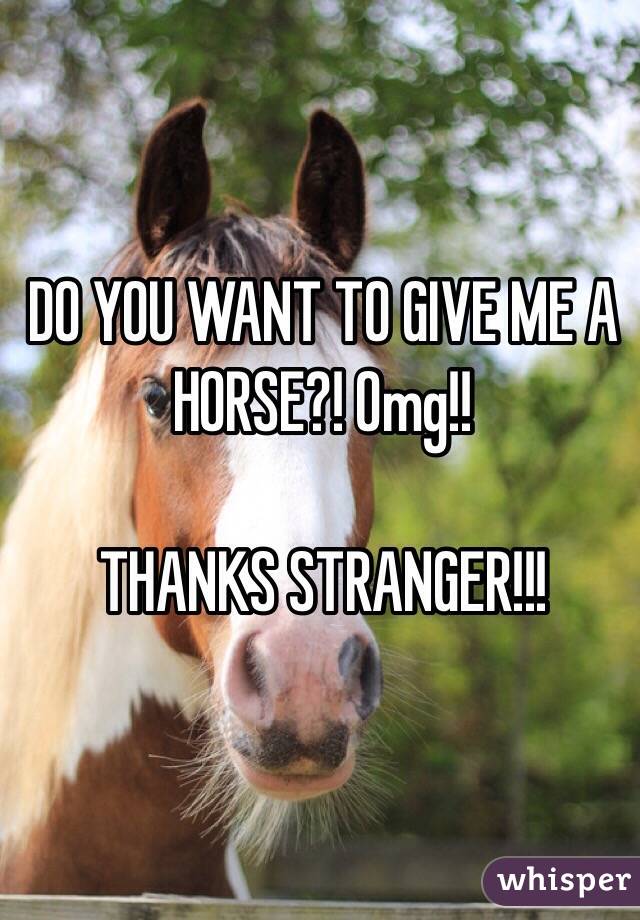 DO YOU WANT TO GIVE ME A HORSE?! Omg!!

THANKS STRANGER!!!