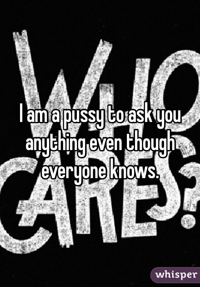 I am a pussy to ask you anything even though everyone knows.