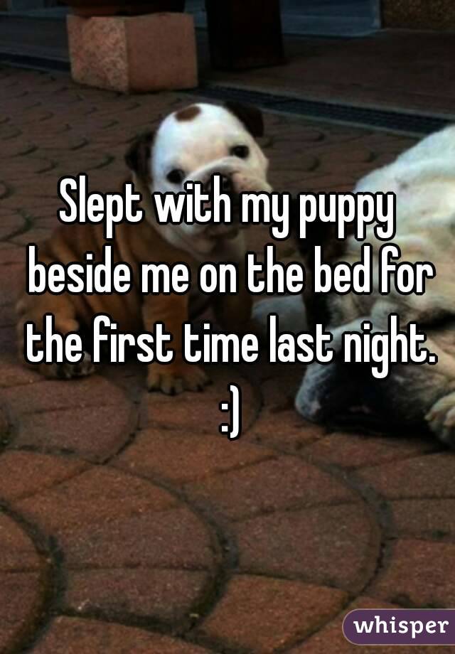 Slept with my puppy beside me on the bed for the first time last night. :)