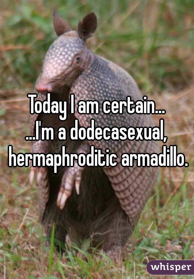 Today I am certain...
...I'm a dodecasexual, hermaphroditic armadillo.