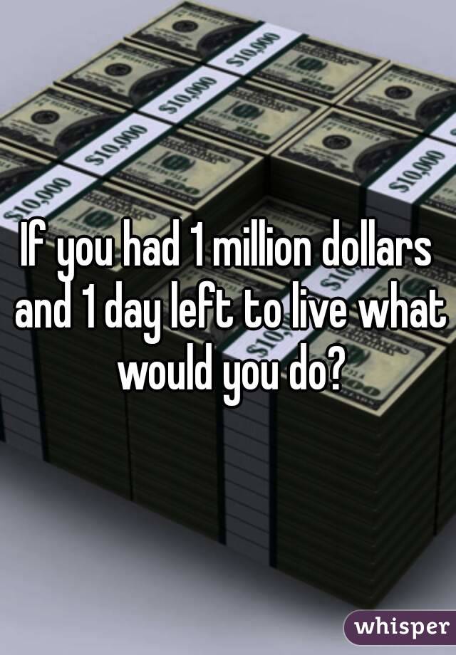 If you had 1 million dollars and 1 day left to live what would you do?