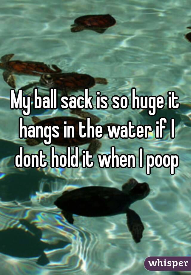 My ball sack is so huge it hangs in the water if I dont hold it when I poop