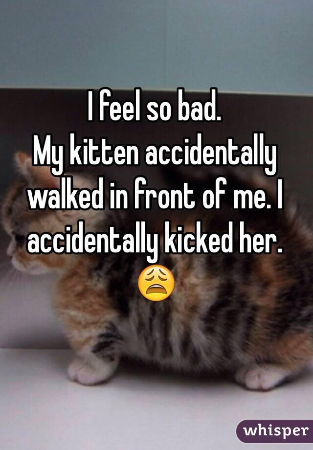 I feel so bad. 
My kitten accidentally walked in front of me. I accidentally kicked her. 
😩