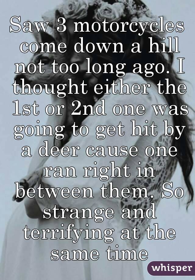 Saw 3 motorcycles come down a hill not too long ago. I thought either the 1st or 2nd one was going to get hit by a deer cause one ran right in between them. So strange and terrifying at the same time