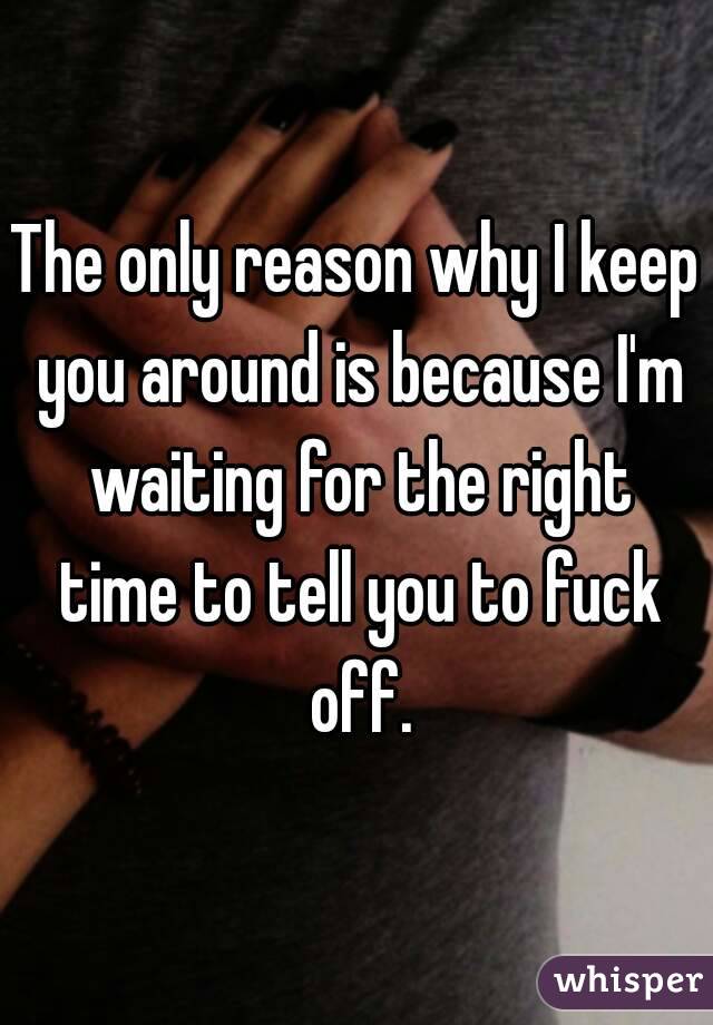 The only reason why I keep you around is because I'm waiting for the right time to tell you to fuck off.