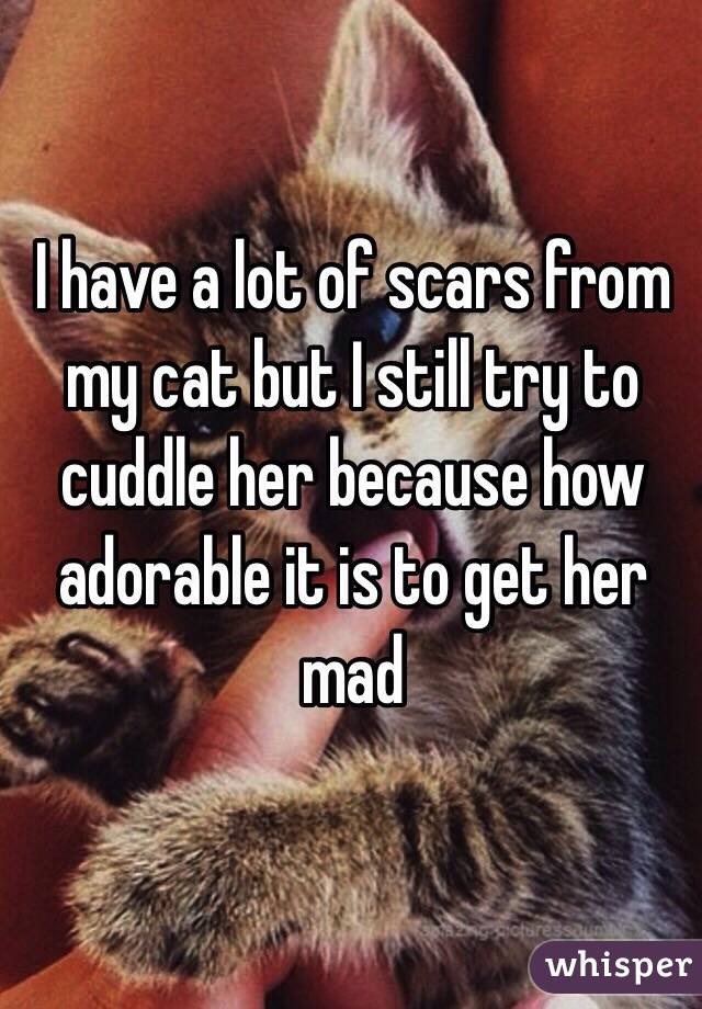 I have a lot of scars from my cat but I still try to cuddle her because how adorable it is to get her mad