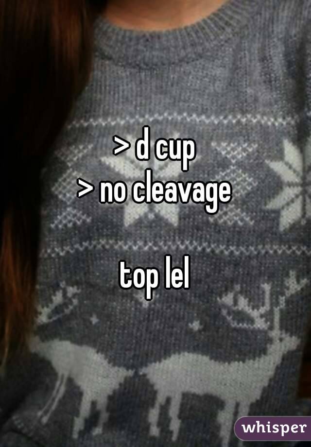 > d cup
> no cleavage

top lel