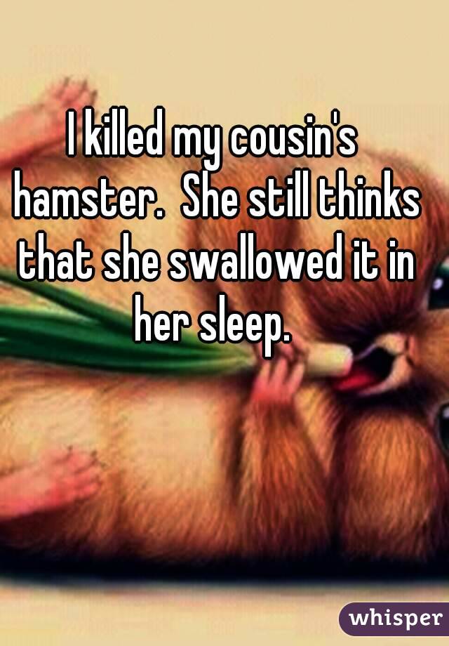 I killed my cousin's hamster.  She still thinks that she swallowed it in her sleep. 