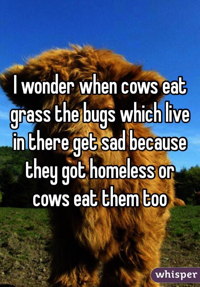 I wonder when cows eat grass the bugs which live in there get sad because they got homeless or cows eat them too