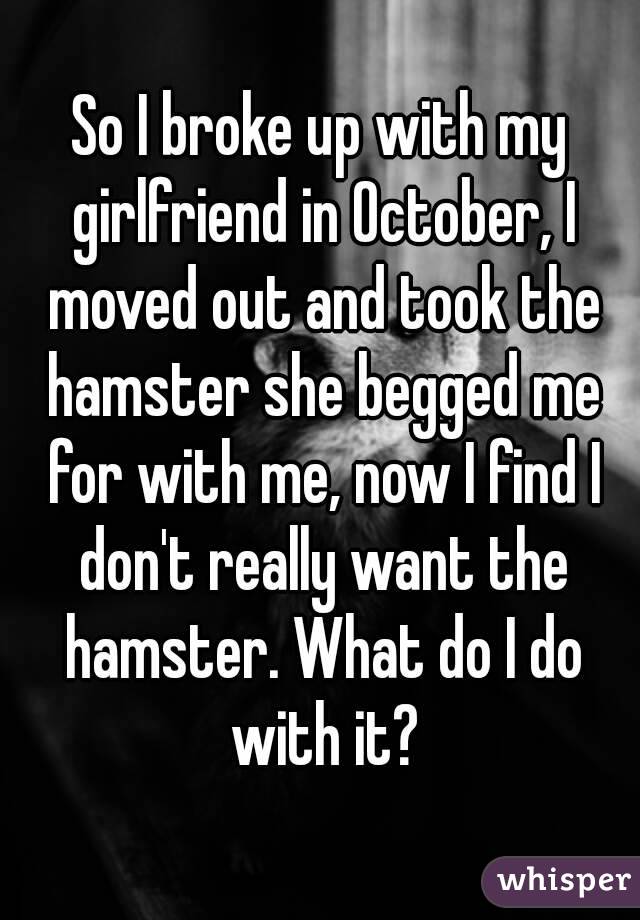 So I broke up with my girlfriend in October, I moved out and took the hamster she begged me for with me, now I find I don't really want the hamster. What do I do with it?