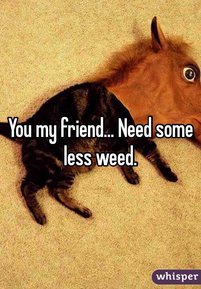 You my friend... Need some less weed.