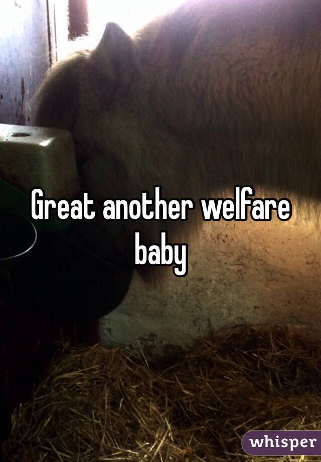 Great another welfare baby 