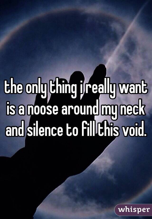 the only thing i really want is a noose around my neck and silence to fill this void.