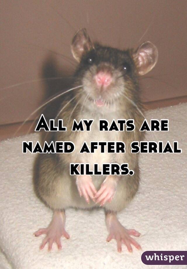 All my rats are named after serial killers.