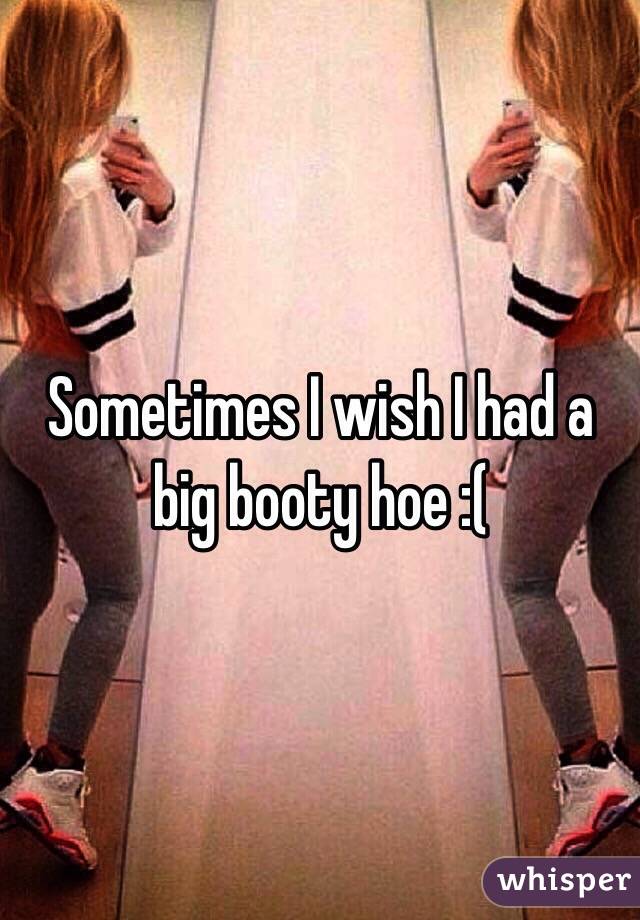 Sometimes I wish I had a big booty hoe :( 