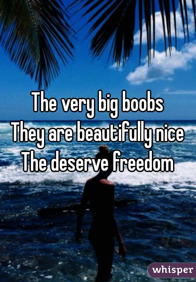 The very big boobs
They are beautifully nice
The deserve freedom