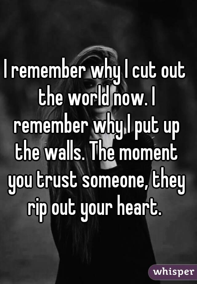 I remember why I cut out the world now. I remember why I put up the walls. The moment you trust someone, they rip out your heart. 