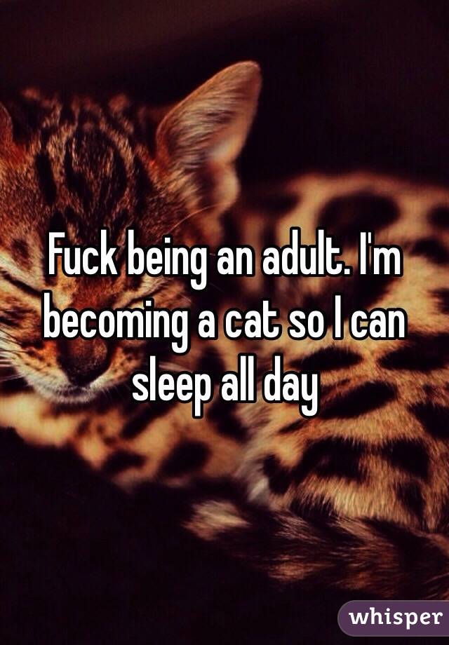 Fuck being an adult. I'm becoming a cat so I can sleep all day