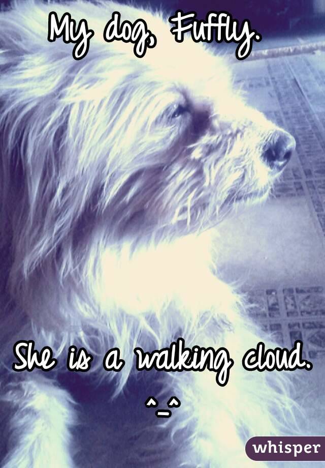 My dog, Fuffly. 






She is a walking cloud. ^_^ 